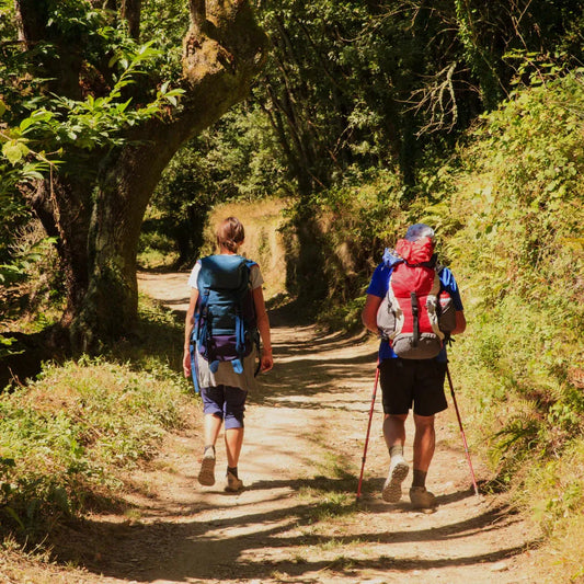 Die schönsten Wanderwege in Österreich im Frühling